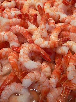 scampi.jpg