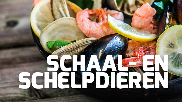 wijn-schaaldieren-schelpdieren.png